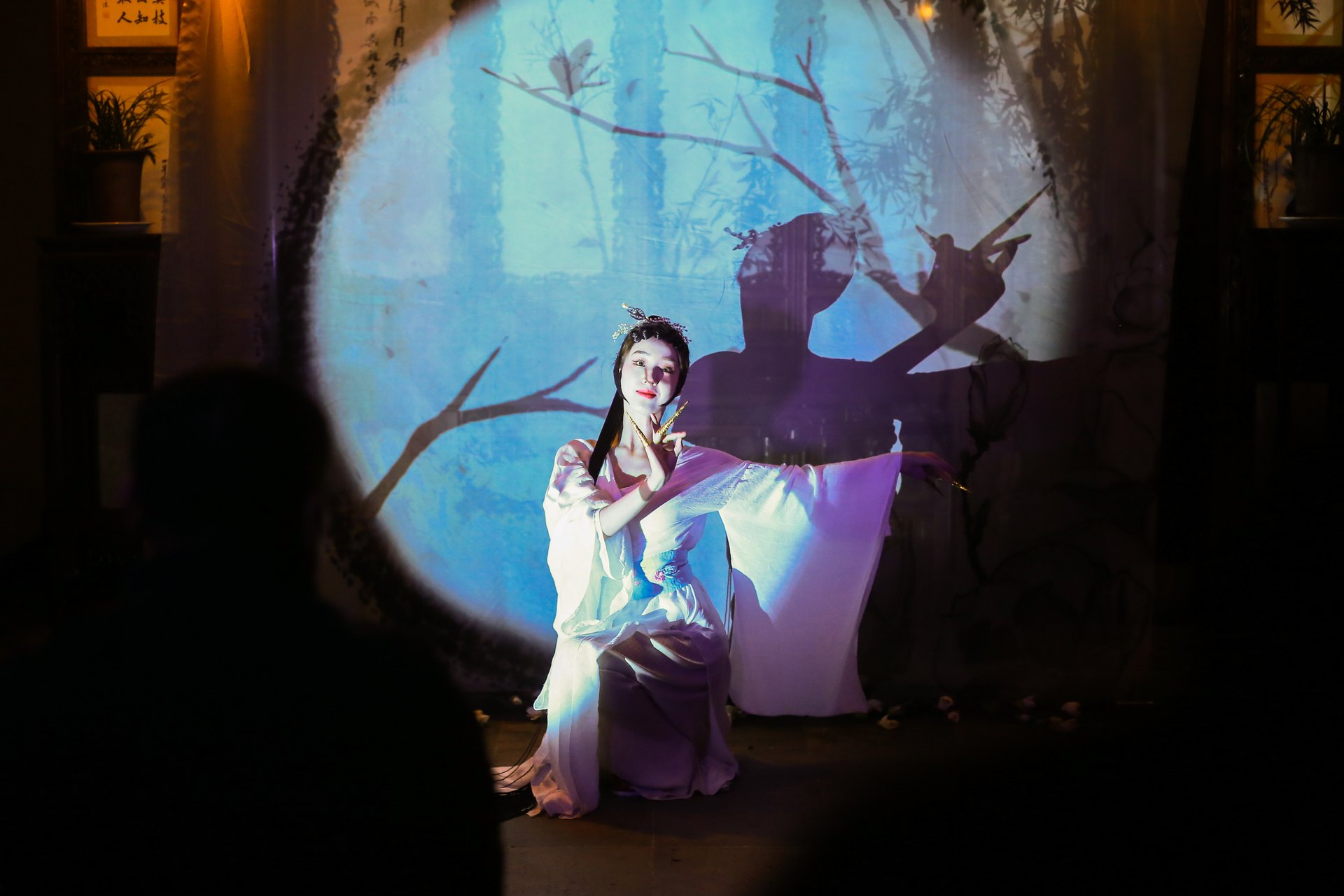 网师园夜花园戏台演出